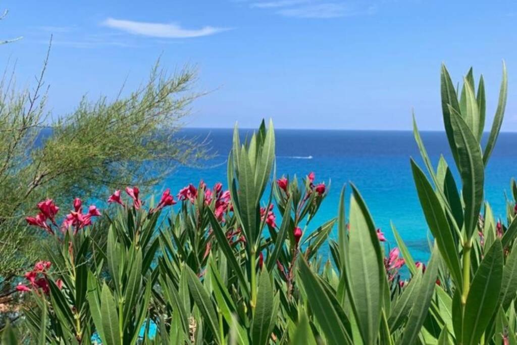 Boutique Apartment With Beach Within Walking Distance, Near Tropea 파르겔리아 외부 사진